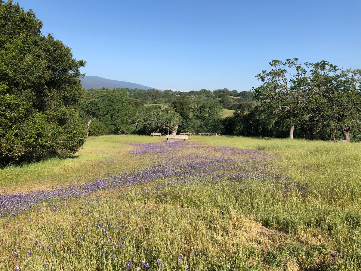 Being in the&nbsp;know