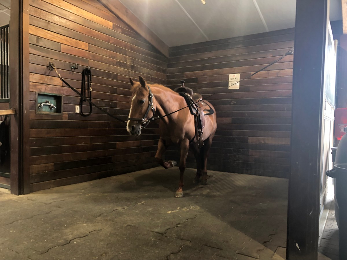 End of the school&nbsp;year